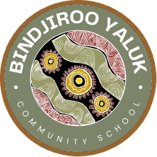 Circular logo for Bindjiroo Yaluk Community School with Aboriginal-inspired patterns. The centre features wavy lines and sun-like motifs in red, yellow, white, and black, surrounded by the school name on a green background.